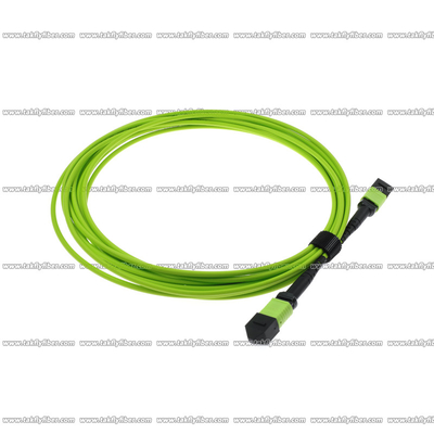 Kabel Serat Multimode OM5 MPO 12 Core 3.0mm LSZH MPO Patch Cord