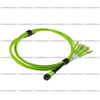 MPO - 8xLC Fiber Patch Cord Multimode OM5 8F 3.0mm LSZH MPO Fiber Cable