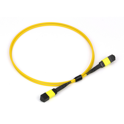 Plenum OFNP MPO Patch Cord 1m 3ft MTP-12 APC Wanita ke MTP-12 APC Wanita Mode Tunggal OS2