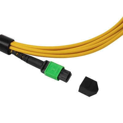 Plenum OFNP MPO Patch Cord 1m 3ft MTP-12 APC Wanita ke MTP-12 APC Wanita Mode Tunggal OS2