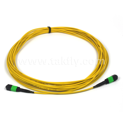 Plenum OFNP MPO Patch Cord 1m 3ft MTP-12 APC Wanita ke MTP-12 APC Wanita Mode Tunggal OS2