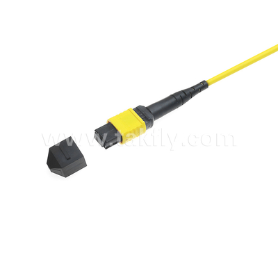Pusat Data FTTX Kabel Serat Optik MPO Patch Cord MTP Kabel Trunk Lapis baja SM MM Jumper