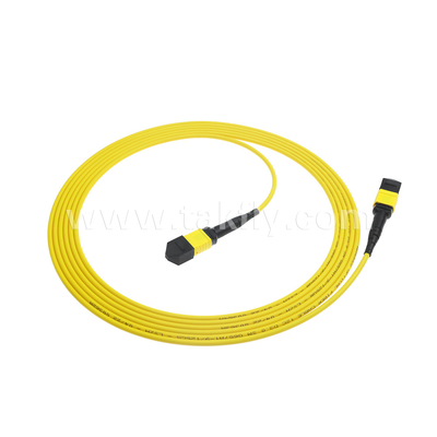 Pusat Data FTTX Kabel Serat Optik MPO Patch Cord MTP Kabel Trunk Lapis baja SM MM Jumper