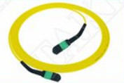 MTP-12 APC Wanita ke MTP-12 APC Wanita Single Mode OS2 Plenum OFNP Tipe A MPO patch cord