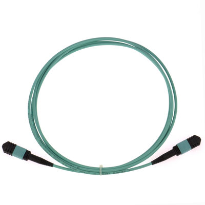 Elite Multimode OM3 50/125, Plenum OFNP Tipe B MPO Patch Cord 3m 10ft MTP-12 PC Wanita Ke MTP-12 PC Wanita