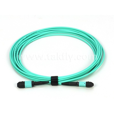 Elite Multimode OM3 50/125 Plenum OFNP Tipe B MPO Patch Cord 30m 100ft MTP-12 PC Wanita Ke MTP-12 PC Wanita