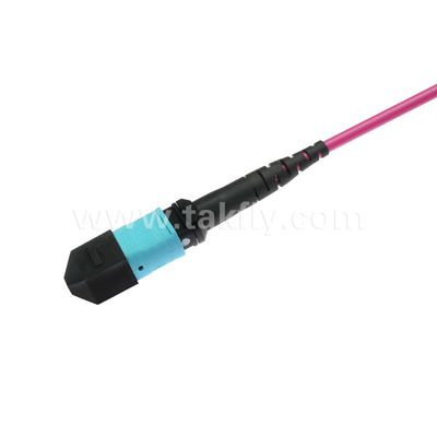 Elite Multimode OM4 50/125, Plenum OFNP Tipe B MPO patch cord 3m 10ft MTP-12 PC Wanita ke MTP-12 PC Wanita