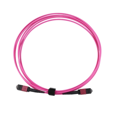 Elite Multimode OM4 50/125, Plenum OFNP Tipe B MPO Patch Cord 5m 16ft MTP-12 PC Wanita Ke MTP-12 PC Wanita
