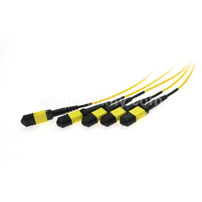 Kabel Fanout MPO/MTP PLC Splitter 1x4 SM/MM Serat Optik untuk Pusat Data FTTX