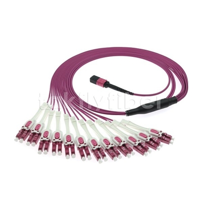 24F MTP 12x LC DX Uniboot OM4 Fiber Patch Cord Untuk Jaringan Kecepatan Tinggi