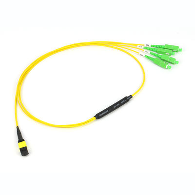 Kabel Trunk MPO/MTP 12/24/48/96/144 Core dengan Mode Serat 50/125um dan Selubung Luar PVC/LSZH Patchcord Serat Optik