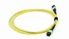 Kabel Patch Fiber MPO-MPO untuk Pusat Data 8-24 Inti