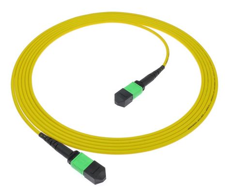 Kabel Patch MPO/MTP UPC/APC PVC/LSZH