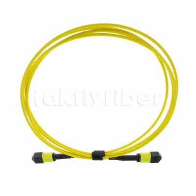 Kabel Trunk MPO MTP® 5M, MTP®-12 APC (Female) ke MTP®-12 APC (Female), 12 Serat, OS2 Plenum (OFNP), Maks 0.35dB