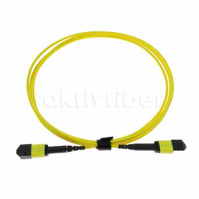 Kabel Trunk MPO MTP® 5M, MTP®-12 APC (Female) ke MTP®-12 APC (Female), 12 Serat, OS2 Plenum (OFNP), Maks 0.35dB