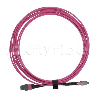 CPR B2ca Multimode OM4 MPO ke MPO Fiber Trunk Cable, MTP-12 OM4 Wanita ke Wanita, Tipe A, 5m