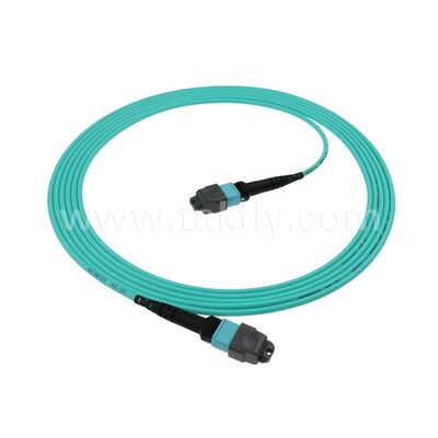 8F 12F 16F 24F MPO MTP Male Female OM3 OM4 OM5 Multimode Multimode Fiber Optic Patchcord / Optical Fiber Patch Cable / Optical Breakout Cable / Optical Fiber Trunk Cable untuk pusat data kepadatan tinggi