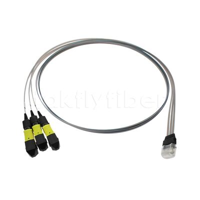 3x12F MTP - 36CH Fiber Array FA Assembly with High Transmission Rate Low Consumption and High Stability and Reliability