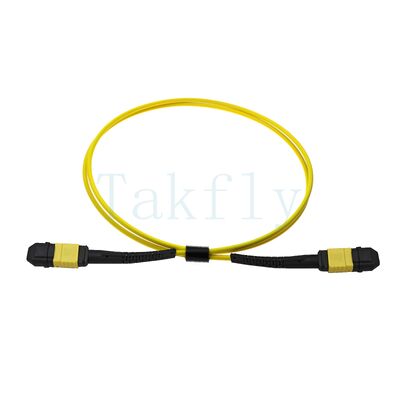 12-core MPO APC Fanout Patch Cord