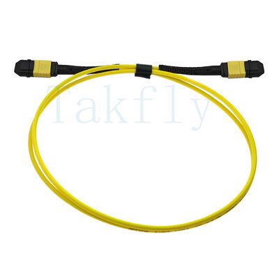 12-core MPO APC Fanout Patch Cord