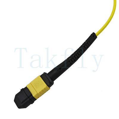 12-core MPO APC Fanout Patch Cord