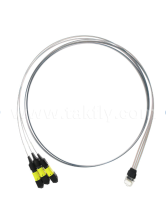 MTP 12CH×3 hingga 36-Channel Fiber Array Assembly 3×12CH Konektor MTP hingga 36CH V-Groove FAU, Low Insertion Loss, untuk 1.6T Optical Transceivers & Co-Packed Optics (CPO)