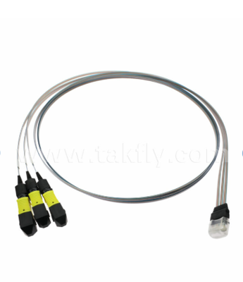 MTP 12CH×3 hingga 36-Channel Fiber Array Assembly 3×12CH Konektor MTP hingga 36CH V-Groove FAU, Low Insertion Loss, untuk 1.6T Optical Transceivers & Co-Packed Optics (CPO)