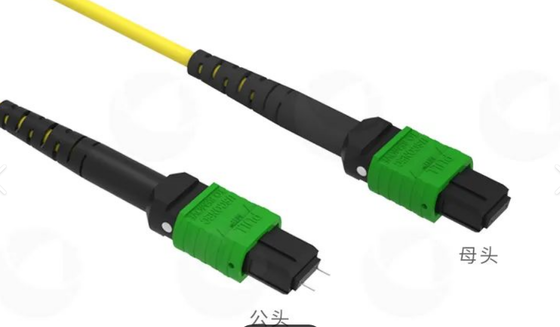 8F 12F 16F 24F MPO MTP Laki-laki Perempuan SM MM Fiber Optic Patchcord / Kabel Patch Serat Optik / Kabel Breakout Optik / Kabel Batang Serat Optik untuk Pusat Data Kepadatan Tinggi