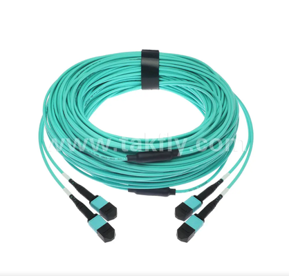 24-Core MPO/PC Mini Trunk Patch Cord OM3 Multimode, 2×MPO Input to 2×MPO Output, Low Insertion Loss, untuk Data Center Densitas Tinggi & 40G/100G SR4
