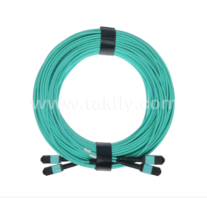 24-Core MPO/PC Mini Trunk Patch Cord OM3 Multimode, 2×MPO Input to 2×MPO Output, Low Insertion Loss, untuk Data Center Densitas Tinggi & 40G/100G SR4