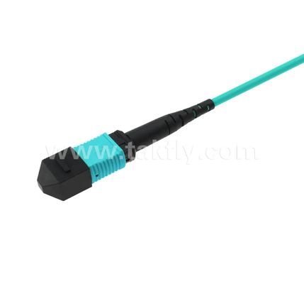 24-Core MPO/PC Mini Trunk Patch Cord OM3 Multimode, 2×MPO Input to 2×MPO Output, Low Insertion Loss, untuk Data Center Densitas Tinggi & 40G/100G SR4