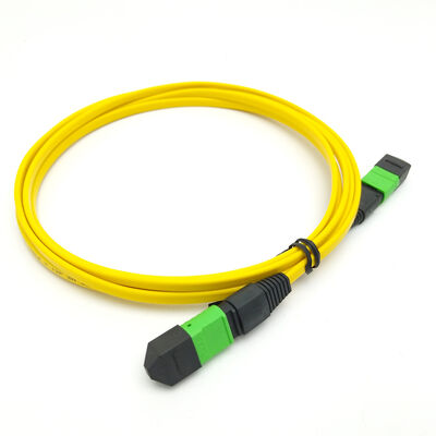 Kabel Patch MPO/MTP Berkinerja Tinggi   8/12/24 Serat, Kerugian Rendah, IEC & TIA Compliant