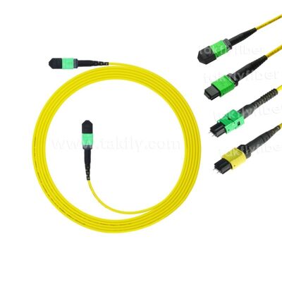 MPO MTP Patchcord SM Trunk Cable 12F Fiber Optic untuk Kabel FTTX Pusat Data AI Telecom