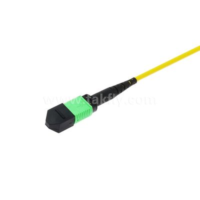 MPO MTP Patchcord SM Trunk Cable 12F Fiber Optic untuk Kabel FTTX Pusat Data AI Telecom
