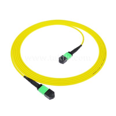 MPO MTP Patchcord SM Trunk Cable 12F Fiber Optic untuk Kabel FTTX Pusat Data AI Telecom