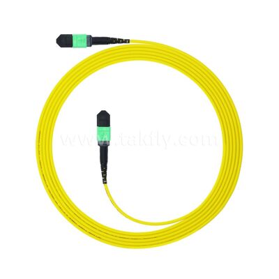 MPO MTP Patchcord SM Trunk Cable 12F Fiber Optic untuk Kabel FTTX Pusat Data AI Telecom
