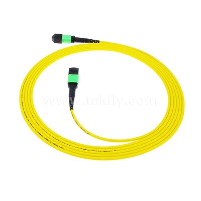 MPO MTP Patchcord SM Trunk Cable 12F Fiber Optic untuk Kabel FTTX Pusat Data AI Telecom