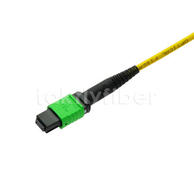 MPO MTP Patchcord SM Trunk Cable 12F Fiber Optic untuk Kabel FTTX Pusat Data AI Telecom