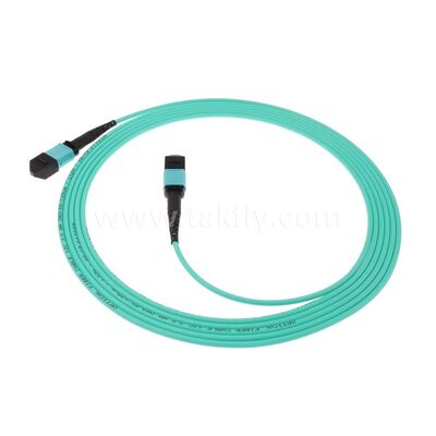 MPO MTP Patchcord MM OM3 Trunk Cable 12F Fiber Optic untuk Pusat Data Kabel Telekomunikasi AI