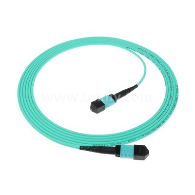 MPO MTP Patchcord MM OM3 Trunk Cable 12F Fiber Optic untuk Pusat Data Kabel Telekomunikasi AI