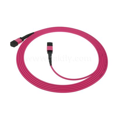MPO MTP Patchcord Multimode OM4 Trunk Cable 24F Fiber Optic untuk Pusat Data Kabel Telekomunikasi AI