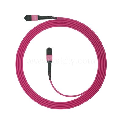 MPO MTP Patchcord Multimode OM4 Trunk Cable 24F Fiber Optic untuk Pusat Data Kabel Telekomunikasi AI