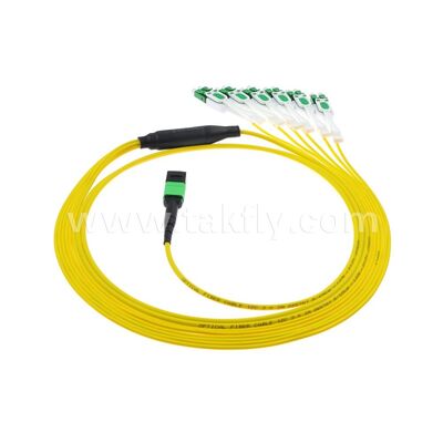 MPO/MTP Patchcord Fanout Uniboot LC Kabel Serat Optik Breakout Singlemode untuk Kabel Pusat Data AI Telecom