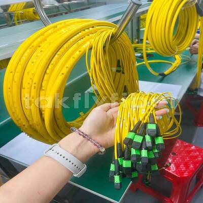 Takfly MPO/MTP Patch Cord 8/12/24 Inti hingga 576 Inti Kerugian Rendah 500 Siklus Pasangan IEC & TIA Selaras