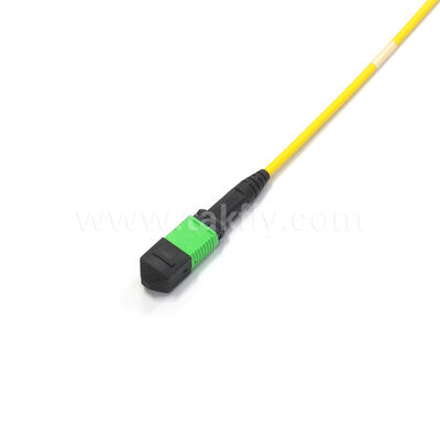Kabel Trunk MPO Amphenol Kustom 288 Serat 0.35dB Max Loss Sisipan Singlemode OS2 untuk Pusat Data