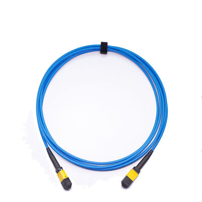 CPR Armored MPO MTP Mpo Trunk Cable Flexing Stainless Sheath