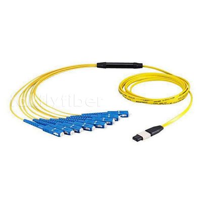 Kabel Fan Out MPO MTP F - SC OM3 12/24/48 Core Fiber Optic Patchcord