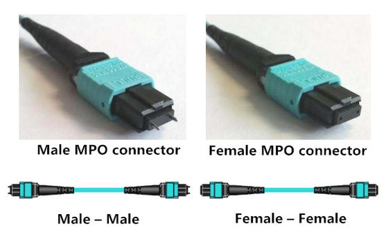 8 Core Breakout Cable MPO Ke 4 LC Duplex OM3 MPO MTP Fiber Optic Patch Cord