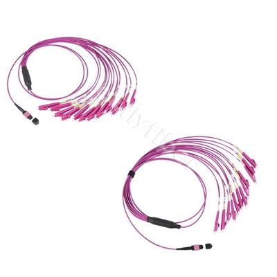 12/24 Cores MPO ke LC Patch Cable Kabel Breakout MPO, OM4, Violet, 3.0mm