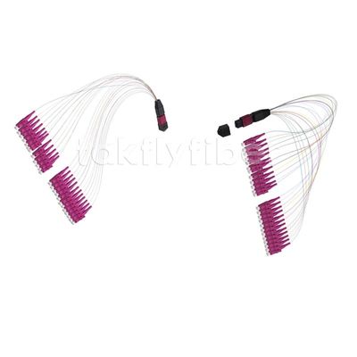 12/24 Cores MPO Female ke LC Fiber Optic MPO Patch Cord, OM4, Violet